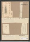Synedra ulna (Nitzsch) Ehr. (de-Toni-Nr.: Genus 66, Species 2584) Zeichnungen Sammlung Grunow Nr. 5193 (NHMW-BOT-W0373553)